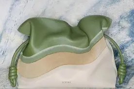 LOEWE经典包款以大自然上色，ON昂跑再出联名系列｜是日美好事物图片