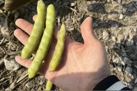 夫妻双双中毒！紧急提醒：这种东西千万不能吃图片