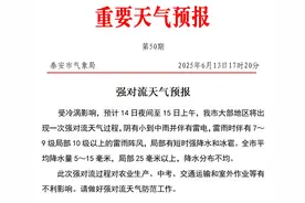 高温！局部短时强降水、冰雹！泰安大部地区将出现强对流天气图片