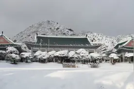 韩国戒严危机爆发后，青瓦台游客数量暴增54%图片