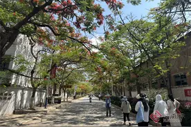 “潮汐警务”打造旅游安保新模式 “滇铜古镇”连续3年八类重点案“零发生”图片