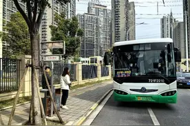 周末可直达武汉动物园 ，白沙洲试运行开通“公交旅游专线”图片