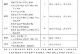 还有机会！南京2024中招第一批次征求志愿计划出炉图片