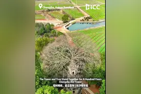 塔树相依，矗立百年|长沙惜字塔（The Tower and Tree Stand Together for A Hundred Years| Changsha Xizi Tower）图片