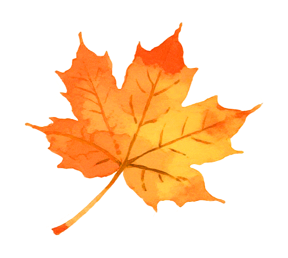 收藏这套双流秋天专属色卡，跟着拍，出片率100%