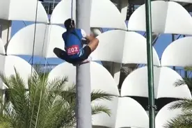 攀椰竞速！原来爬树真的有全国比赛图片