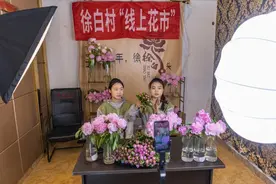 乡村振兴丨“芍药村”里的两组“实验”图片