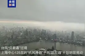 台风“贝碧嘉”的威力不小 上海中心千吨“阻尼器”晃动明显图片