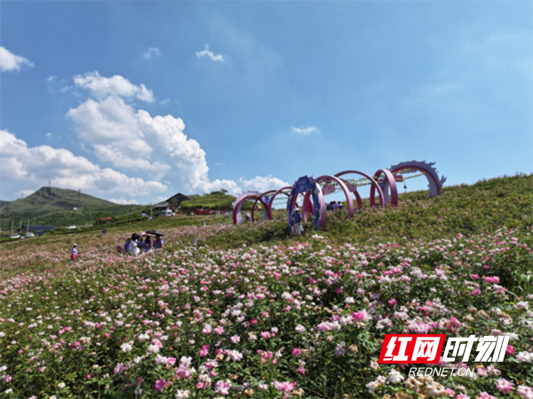 湖南冷水江：七夕文化节浪漫启幕 生态成果与传统温情共绘文明画卷