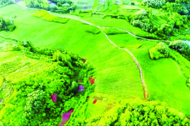 解锁乡村振兴的“致富密码” 乡村成为宜居宜业的“世外桃源”图片