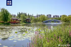 北京十年累计增绿相当于219个奥森公园图片