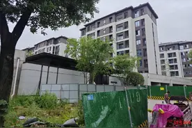 西安临潼一小区地库没完工就交房 开发商：系容缺竣备交付 管理部门：将督促尽快解决图片
