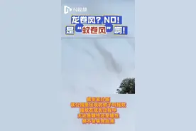 吓人！广东一地惊现“蚊卷风”，市民：不敢说话，怕飞嘴里！专家发声图片