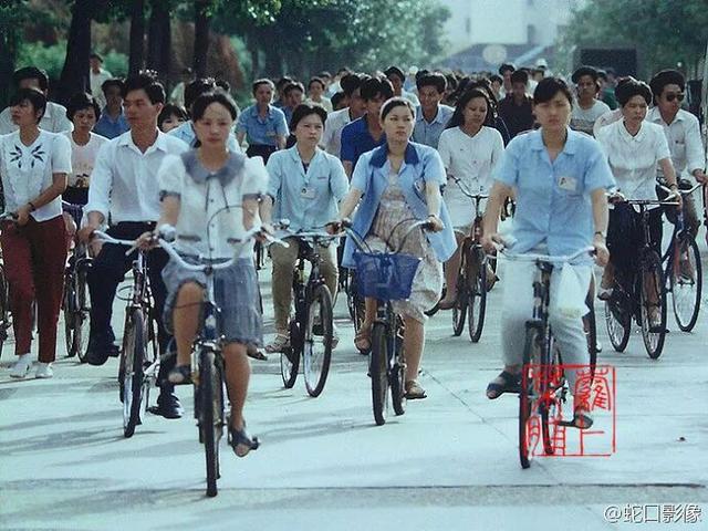 一条荔园路，多少蛇口人的前半生