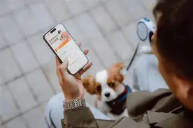 多平台推出宠物“打车”服务 比普通出行贵近45%图片