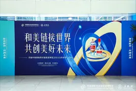 五粮液亮相首届链博会：和美链接世界，共创美好未来图片
