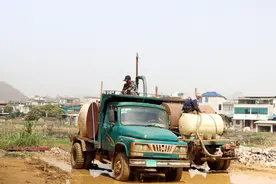 大新县多措并举抗旱保蔗 科技助力稳产增收图片