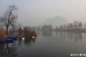 华山湖“湖”拍|雾中天鹅湖图片