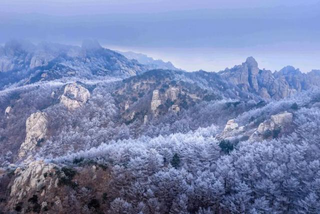 青岛冬日十大消费场景，把一月玩出花样~