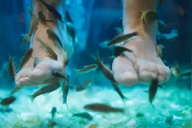 啃脚皮的小鱼，死后是不是成了你嘴里的鱼干图片