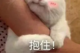 东莞去广深更方便！这些高速、大桥即将改扩建……图片