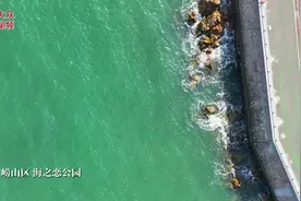 甜度爆表！这个海边粉色系公园“封神”图片