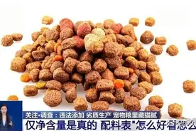 宠物粮乱象大起底，“红线”究竟该划在哪？图片