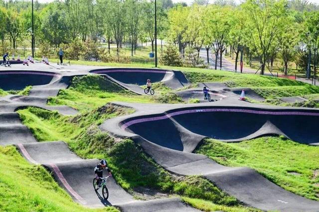 全球金奖！这次是——