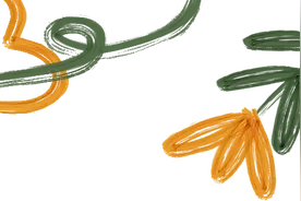 广西百岁奶奶的“公文包”里藏着怎样的养生智慧？图片