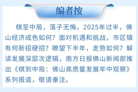 万亿双星，滚石上山｜佛山年中观察③图片