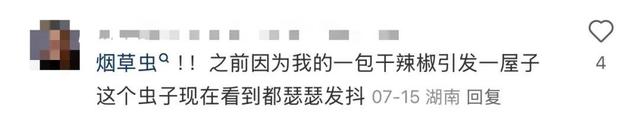 会飞、会爬，不少人家中出现！提醒：发现请立刻扔掉