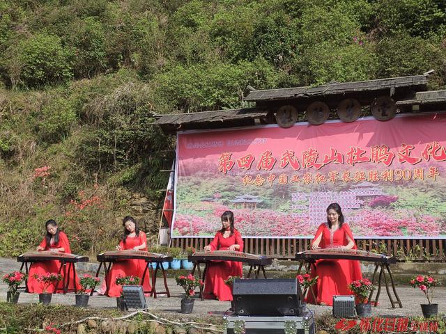 第四届武陵山杜鹃文化节在通道举行