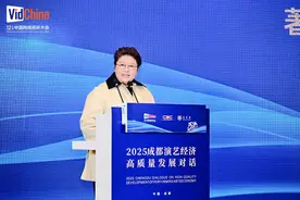 谢霆锋、易烊千玺、许嵩……2025年这些热门演唱会IP都将来成都图片