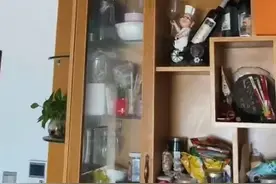 台湾花莲县海域7.3级地震，厦门市民：带两个小孩准备逃生时震感消失图片