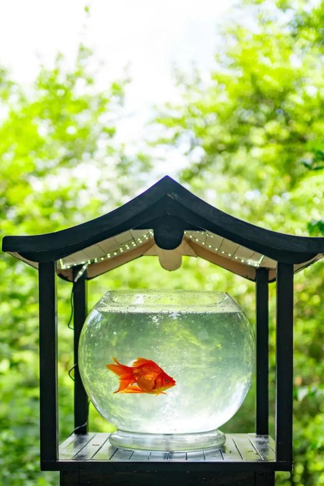 速点！给你视觉降温