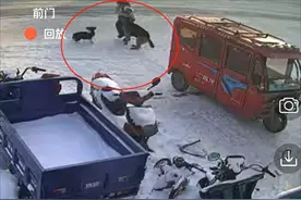 哈尔滨一遛狗女子遭大黑狗扑咬，家属称狗主人不道歉赔偿，派出所：会规范处理图片