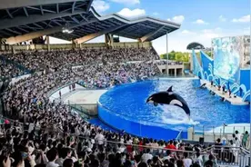全名单来了！上海旅游节62家景区景点限时门票半价图片