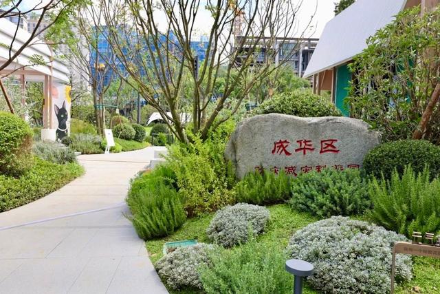 好 凉 快！家门口的森系公园来了