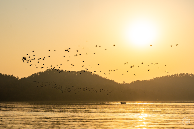 东湖冬日必打卡！观「雪」景、赏秋色、追落日！
