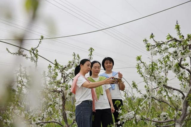 清明假期，踏青赏花感受春日之美→