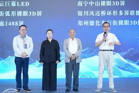 “南宁中山裸眼3D屏”获中国城市地标媒体大奖图片