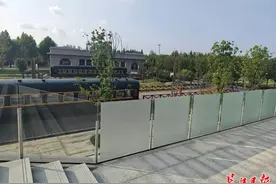 小鸟“交通事故”频发，公园给玻璃贴贴纸图片