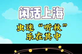 闲话上海 | 虫迷“听秋” 乐在其中图片