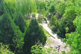 “五一”畅游顺义｜舞彩浅山郊野公园已开园，邀您一起“森”呼吸图片