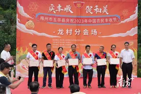 摘柚、插秧、运柚……五华县庆丰收活动现场欢乐多图片