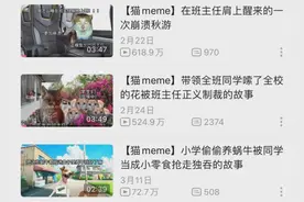 小猫对话为何让人“上头”？嘴替猫猫说透万千心事 | 睡前聊一会儿图片