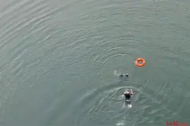 60岁大爷从20多米高桥上跳江救人，致7根肋骨骨折 当地拟确认表彰见义勇为图片