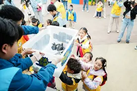 50只“成都籍”绿海龟将在西沙群岛放流图片