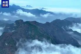 秦岭西潼峪云海缭绕 宛如画卷图片