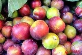 平凉崆峒：李子走俏市场图片